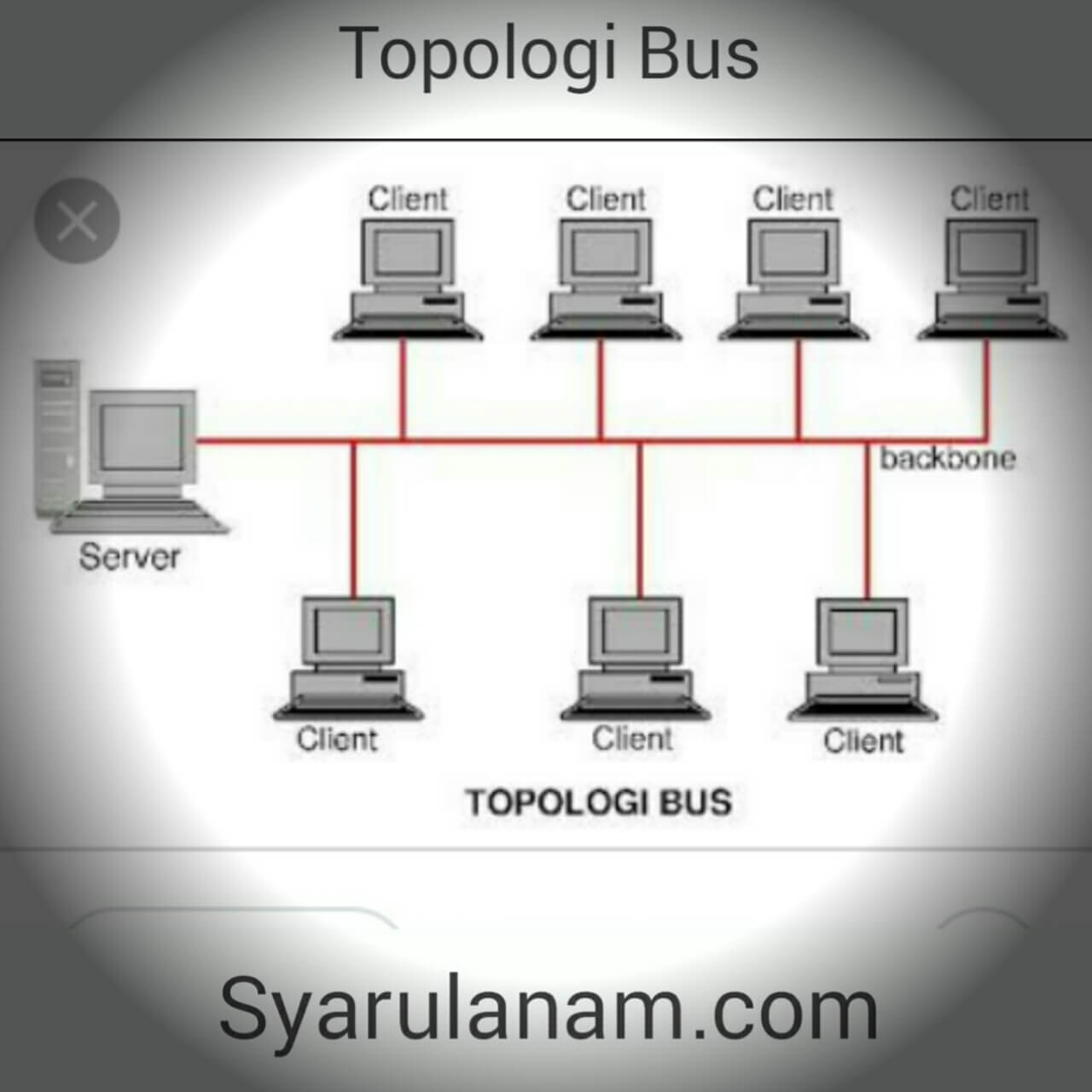 Topologi Jaringan Beserta Jenis Jenis Topologi Jaring Vrogue Co