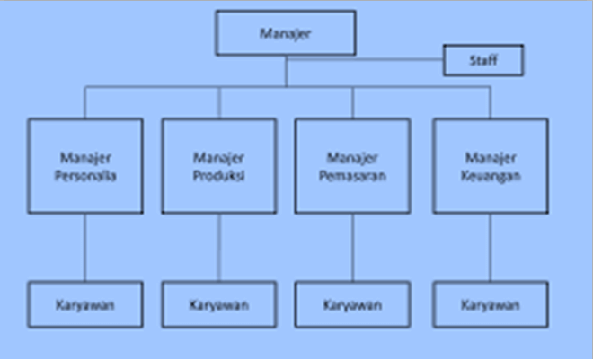 jenis-jenis struktur organisasi