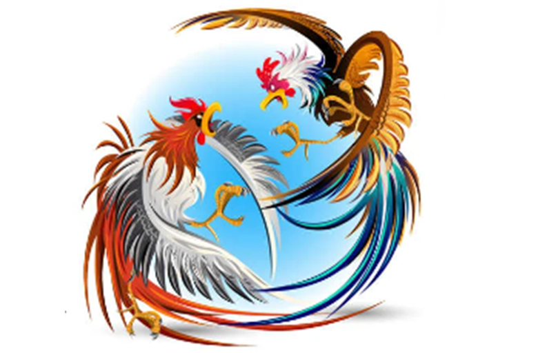 Logo Ayam Petarung Thailand