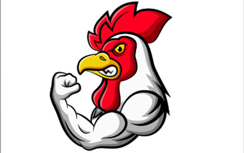 gambar logo ayam petarung